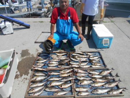 大進丸(愛知) 釣果