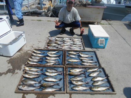 大進丸(愛知) 釣果