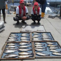 大進丸（愛知） 釣果