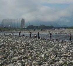 会津大川（会津非出資漁業協同組合） 釣果