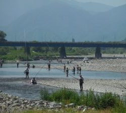 会津大川（会津非出資漁業協同組合） 釣果