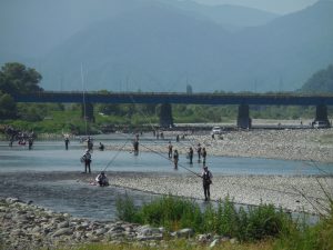 会津大川（会津非出資漁業協同組合） 釣果