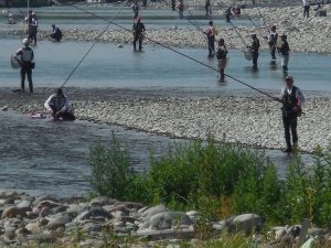 会津大川（会津非出資漁業協同組合） 釣果