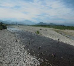 会津大川（会津非出資漁業協同組合） 釣果