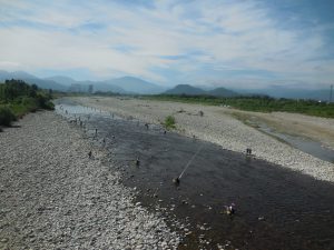 会津大川（会津非出資漁業協同組合） 釣果
