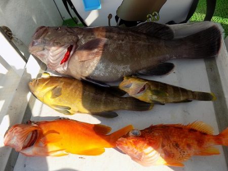 フィッシングボート空風（そらかぜ） 釣果