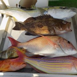 フィッシングボート空風(そらかぜ) 釣果