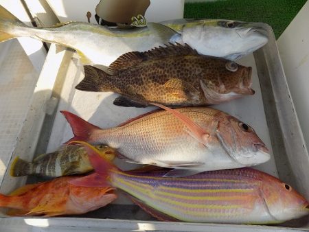 フィッシングボート空風（そらかぜ） 釣果