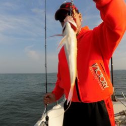 フィッシングボート空風(そらかぜ) 釣果