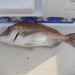 フィッシングボート空風(そらかぜ) 釣果