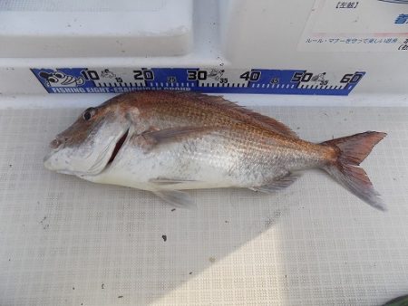 フィッシングボート空風(そらかぜ) 釣果