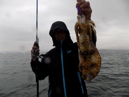 フィッシングボート空風(そらかぜ) 釣果
