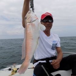 フィッシングボート空風(そらかぜ) 釣果