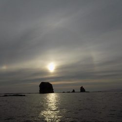 フィッシングボート空風(そらかぜ) 釣果