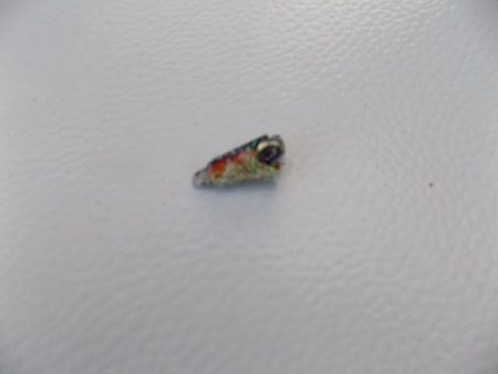 フィッシングボート空風(そらかぜ) 釣果