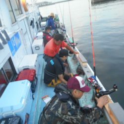 大進丸(愛知) 釣果