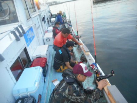 大進丸(愛知) 釣果