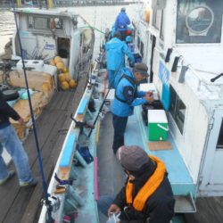 大進丸(愛知) 釣果