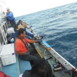 大進丸(愛知) 釣果