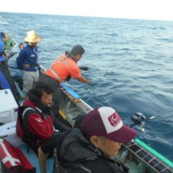 大進丸(愛知) 釣果