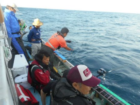 大進丸(愛知) 釣果
