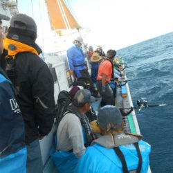 大進丸(愛知) 釣果