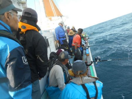 大進丸(愛知) 釣果