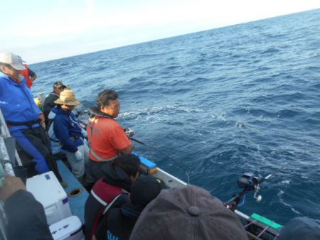 大進丸(愛知) 釣果