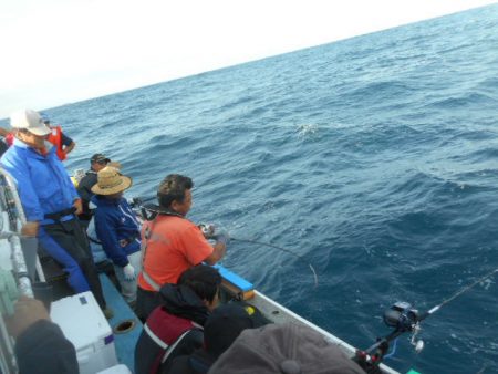 大進丸(愛知) 釣果