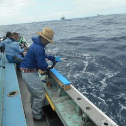 大進丸(愛知) 釣果