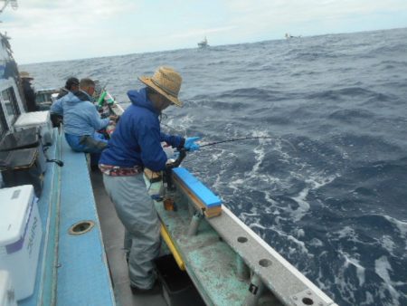 大進丸(愛知) 釣果