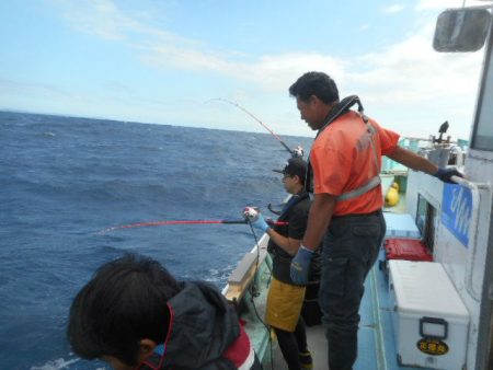 大進丸(愛知) 釣果