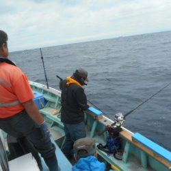 大進丸(愛知) 釣果