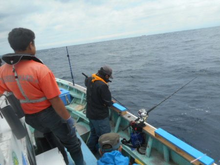 大進丸(愛知) 釣果