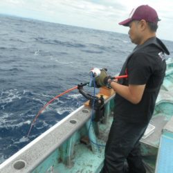 大進丸(愛知) 釣果
