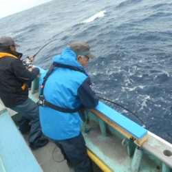 大進丸(愛知) 釣果