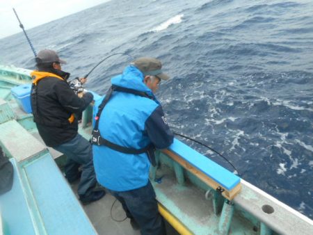 大進丸(愛知) 釣果