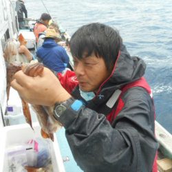 大進丸(愛知) 釣果