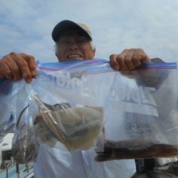 大進丸（愛知） 釣果