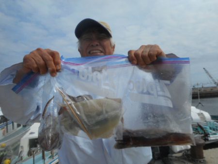 大進丸（愛知） 釣果