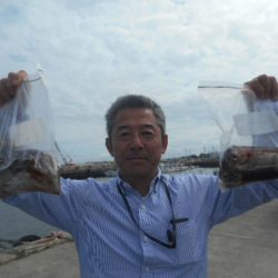 大進丸（愛知） 釣果