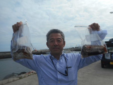 大進丸（愛知） 釣果