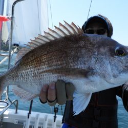 Fisherman Dreams DI 釣果