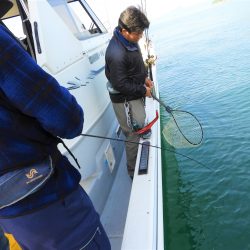 Fisherman Dreams DI 釣果