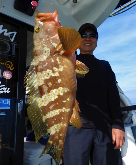 Fisherman Dreams DI 釣…