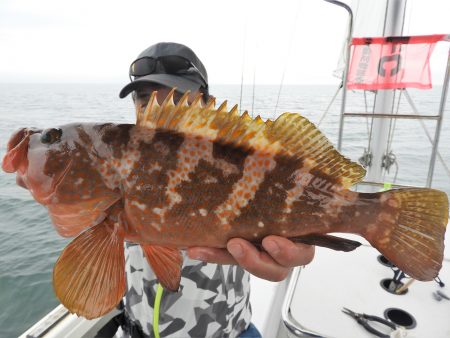 Fisherman Dreams DI 釣果