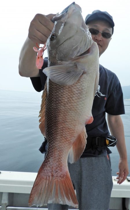 Fisherman Dreams DI 釣果