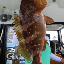 Fisherman Dreams DI 釣果