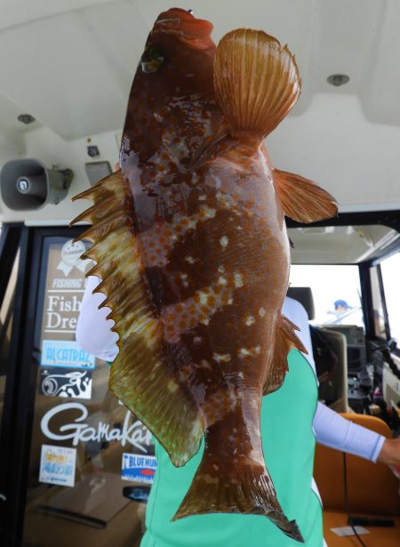 Fisherman Dreams DI 釣果