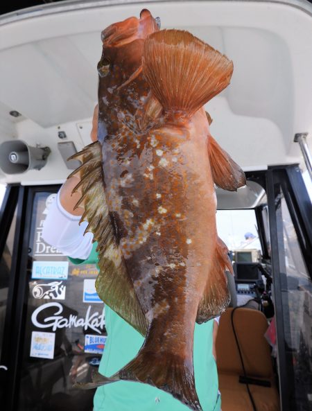 Fisherman Dreams DI 釣果